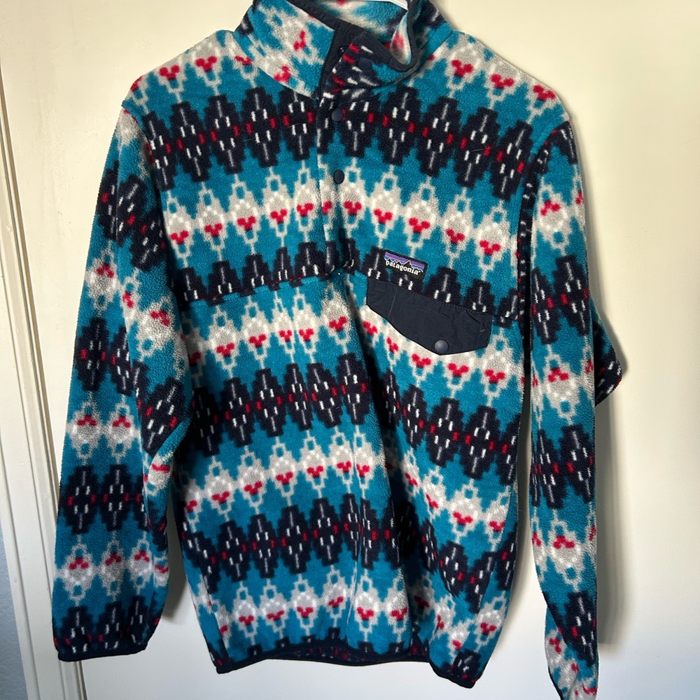 Patagonia Synchilla Blue and Red Fleece